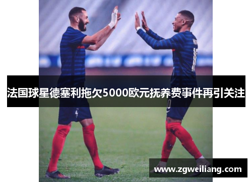 法国球星德塞利拖欠5000欧元抚养费事件再引关注